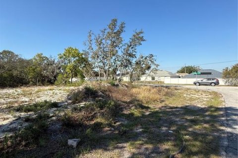 Terreno en venta en Kissimmee, Florida № 1603118 - foto 4