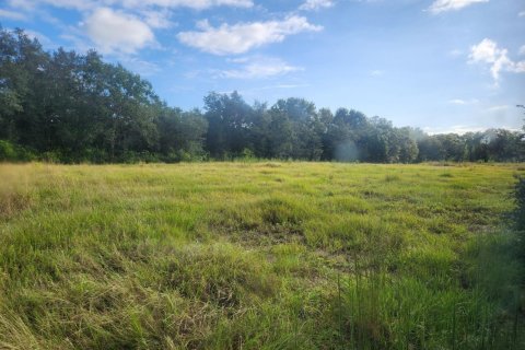 Land in Okeechobee, Florida № 1142548 - photo 1