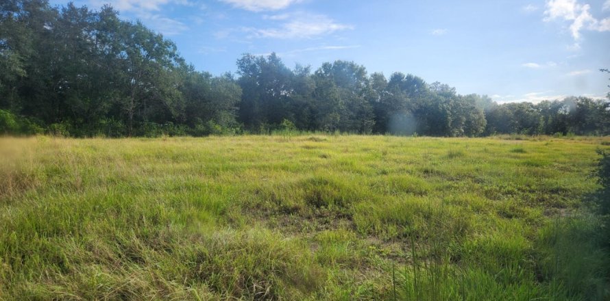 Land in Okeechobee, Florida № 1142548