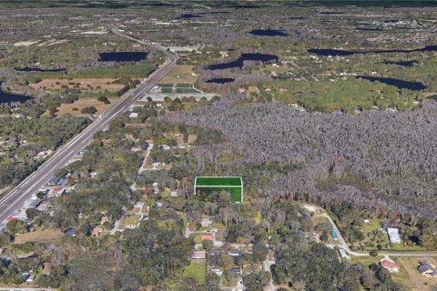 Terrain à vendre à Lutz, Floride № 1898699 - photo 14