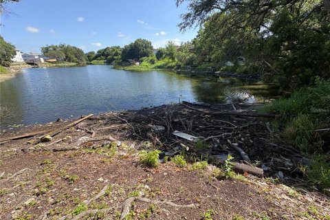 Condo in Tampa, Florida, 1 bedroom № 2238936 - photo 19