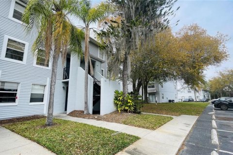 Condo in Tampa, Florida, 1 bedroom  № 2238936