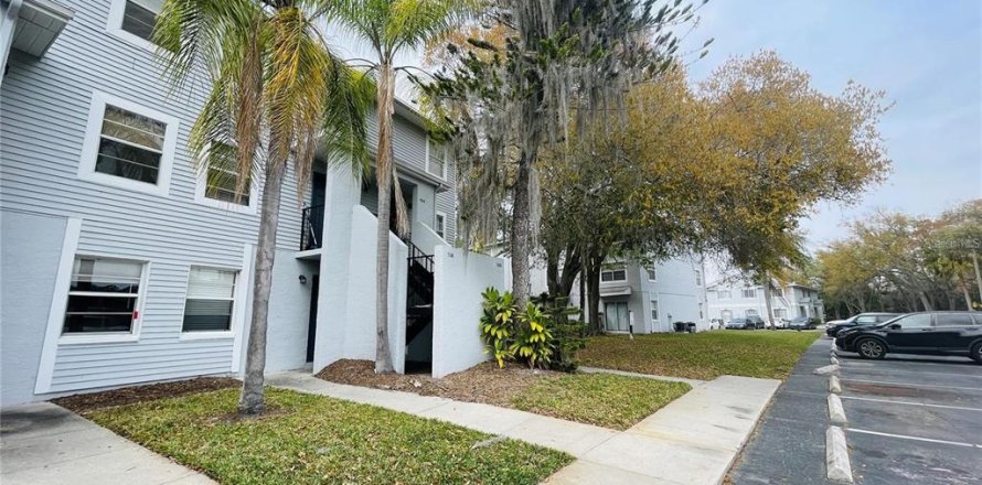 Condo in Tampa, Florida, 1 bedroom № 2238936