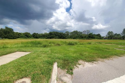 Commercial property in Winter Garden, Florida № 943689 - photo 8