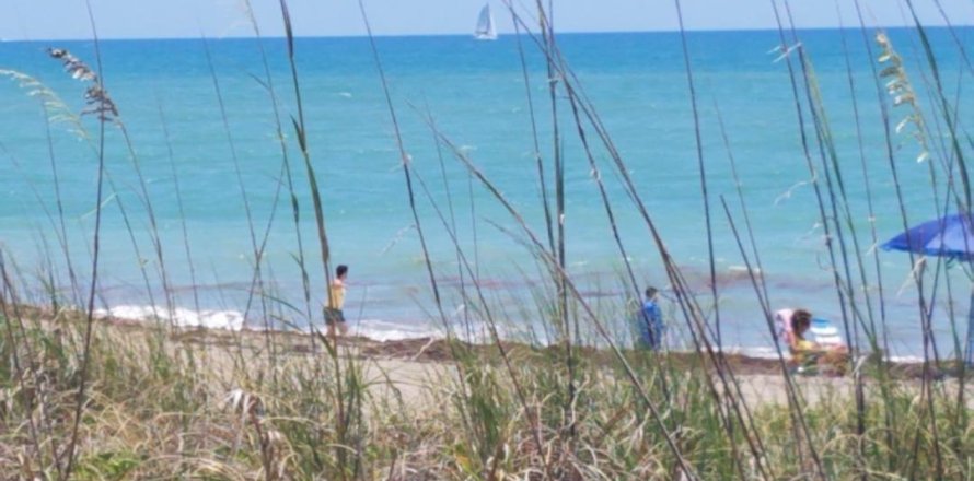 Condo in Fort Pierce, Florida, 1 bedroom № 1177265