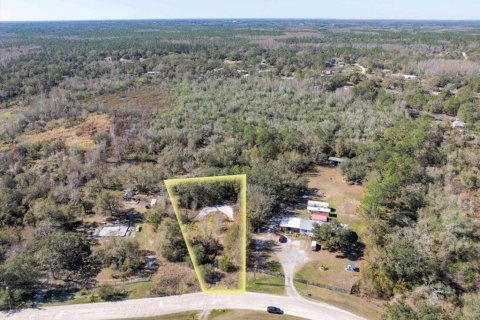 Land in Lakeland, Florida № 1724992 - photo 2