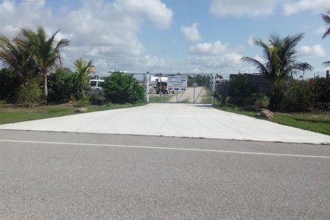 Terrain à Placida, Floride № 2094582