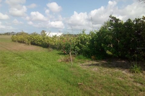 Terrain à vendre à Placida, Floride № 2094582 - photo 4