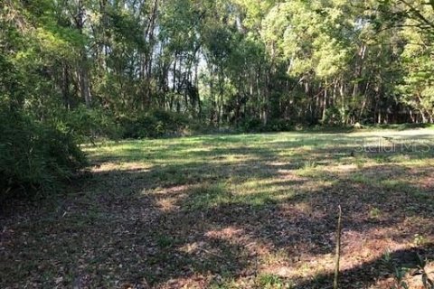 Immobilier commercial à vendre à Orange City, Floride: 111.85 m2 № 2360415 - photo 8