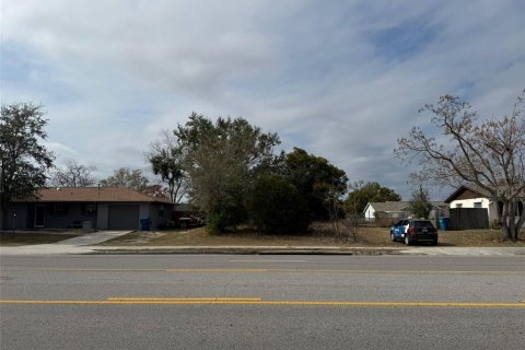 Land in Spring Hill, Florida № 1650077 - photo 1