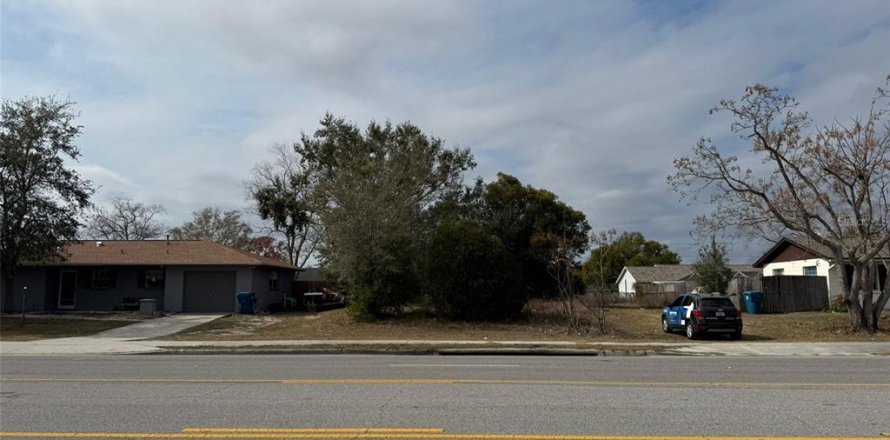 Land in Spring Hill, Florida № 1650077