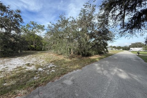 House in Sebring, Florida 3 bedrooms, 135.45 sq.m. № 2393783 - photo 4