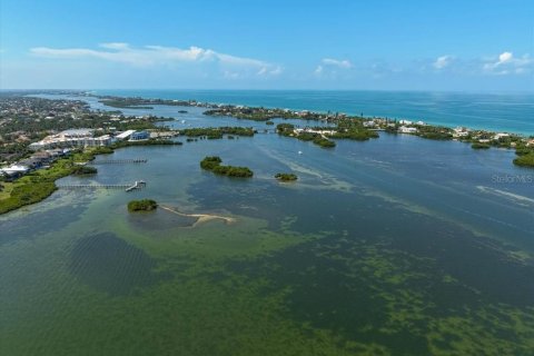 Land in Osprey, Florida № 2095992 - photo 10