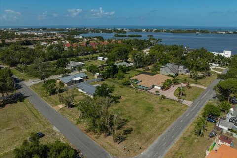 Land in Osprey, Florida № 2095992 - photo 3
