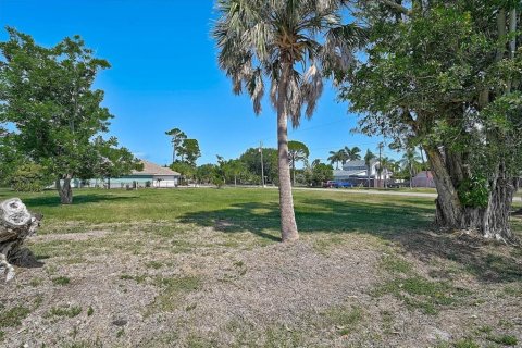 Land in Osprey, Florida № 2095992 - photo 6