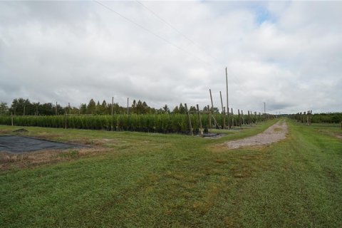 Land in Groveland, Florida № 2108890