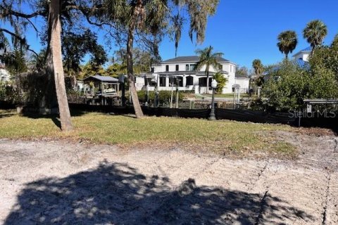 Land in Tampa, Florida № 1025103 - photo 3