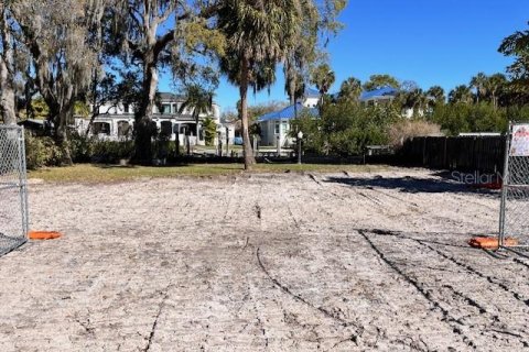 Land in Tampa, Florida № 1025103 - photo 4