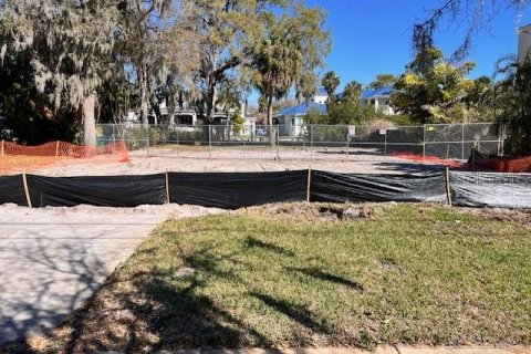 Land in Tampa, Florida № 1025103 - photo 5