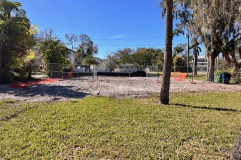 Land in Tampa, Florida № 1025103 - photo 2