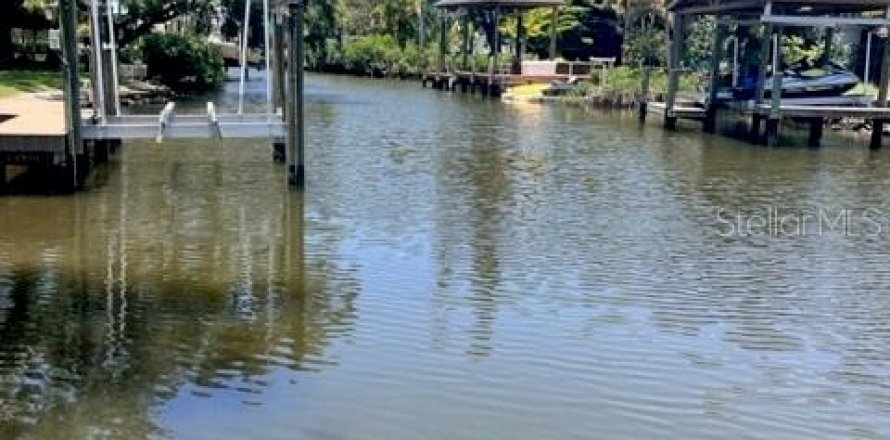 Land in Tampa, Florida № 1025103