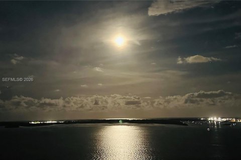 Copropriété à louer à Miami, Floride: 2 chambres, 89.19 m2 № 1996586 - photo 11