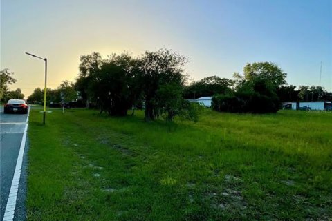 Terrain à vendre à Coleman, Floride № 2224689 - photo 6