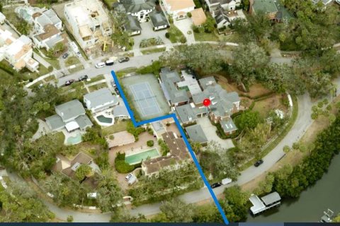 Villa ou maison à vendre à Tampa, Floride: 7 chambres, 941.1 m2 № 1719297 - photo 3