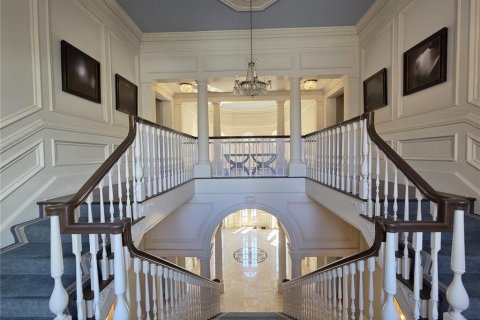 Villa ou maison à vendre à Tampa, Floride: 7 chambres, 941.1 m2 № 1719297 - photo 21