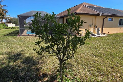 House in Cape Coral, Florida 4 bedrooms № 2030913 - photo 19