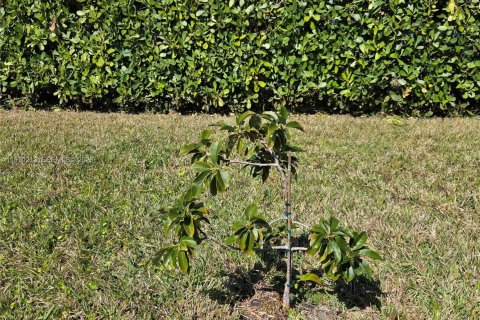 House in Cape Coral, Florida 4 bedrooms № 2030913 - photo 11