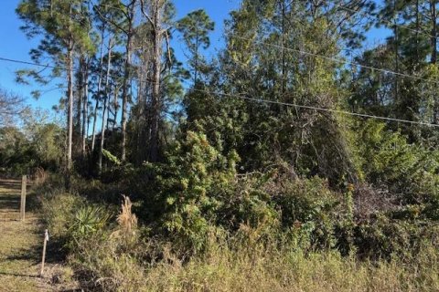 Land in Punta Gorda, Florida № 2213249 - photo 4