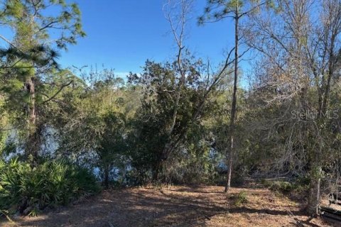 Land in Punta Gorda, Florida № 2213249 - photo 6