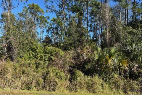 Land in Punta Gorda, Florida № 2213249 - photo 5