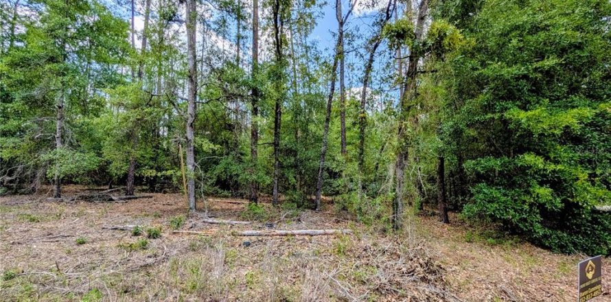Land in Dunnellon, Florida № 1667034