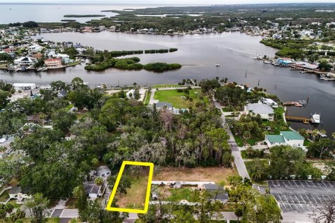 Land in Port Richey, Florida № 2165538 - photo 6