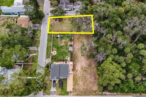 Land in Port Richey, Florida № 2165538 - photo 4