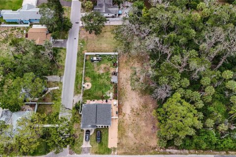 Land in Port Richey, Florida № 2165538 - photo 5
