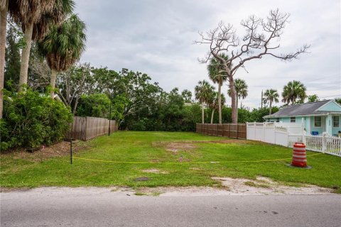 Land in Port Richey, Florida № 2165538 - photo 3