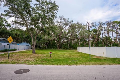 Land in Port Richey, Florida № 2165538 - photo 2