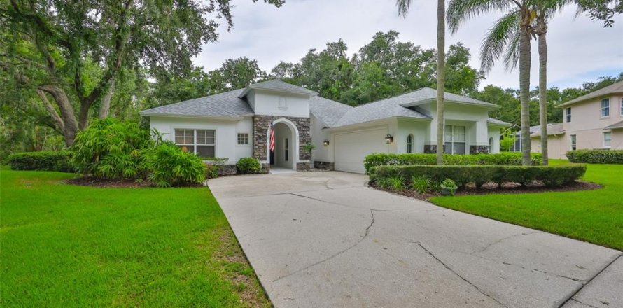 Villa ou maison à Valrico, Floride 5 chambres, 243.96 m2 № 1845126