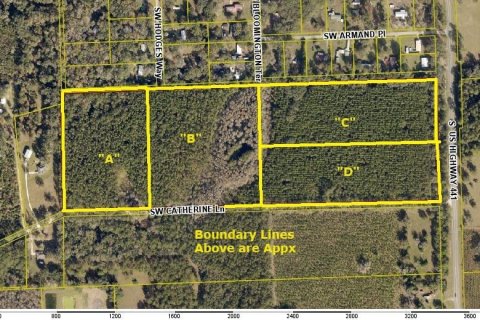 Terreno en venta en Lake City, Florida № 820494 - foto 5