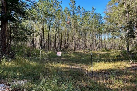 Terreno en venta en Lake City, Florida № 820494 - foto 1