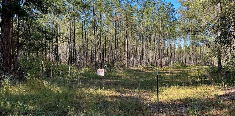 Terreno en Lake City, Florida № 820494