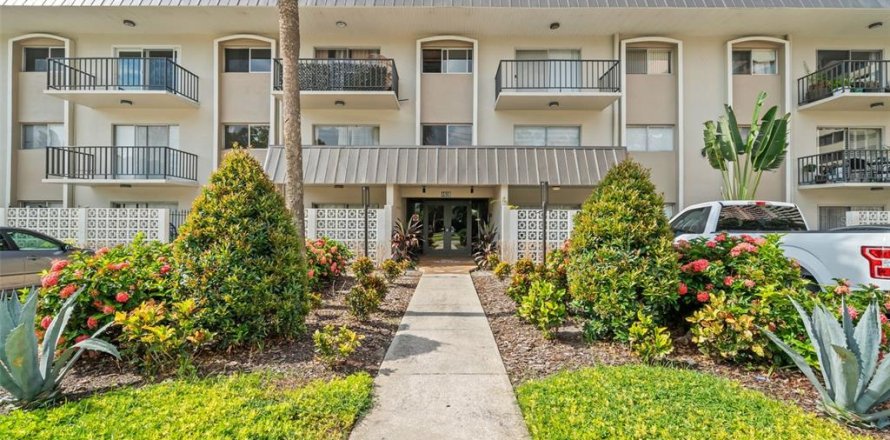 Condo in Tampa, Florida, 1 bedroom  № 1847169