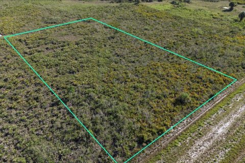 Land in Okeechobee, Florida № 2393784 - photo 2