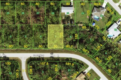 Land in Port Charlotte, Florida № 2162788 - photo 2