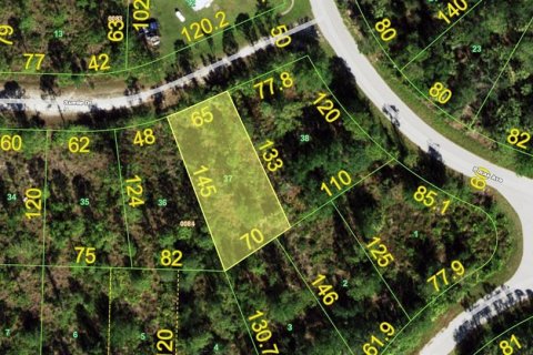 Land in Punta Gorda, Florida № 2235252 - photo 2