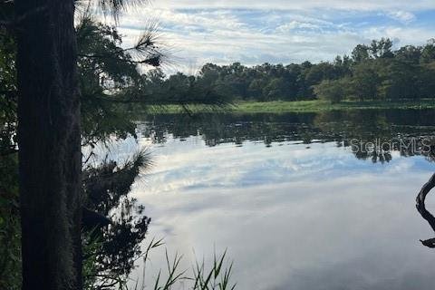 Купить земельный участок в Остин, Флорида № 1915889 - фото 11