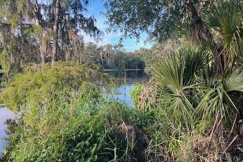 Купить земельный участок в Остин, Флорида № 1915889 - фото 13